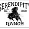Serendipity Horse Rescue Ranch