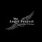 The Angel Project